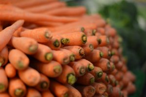 Pile of carrots